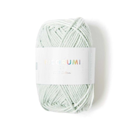 Fil Ricorumi Vert glace